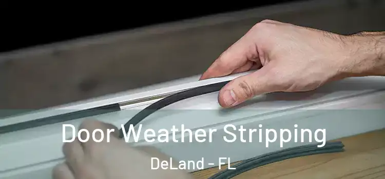  Door Weather Stripping DeLand - FL