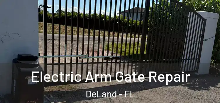 Electric Arm Gate Repair DeLand - FL