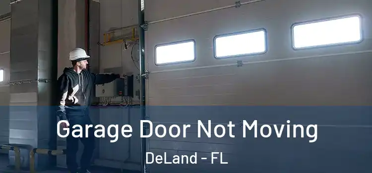  Garage Door Not Moving DeLand - FL