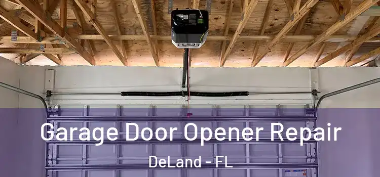  Garage Door Opener Repair DeLand - FL
