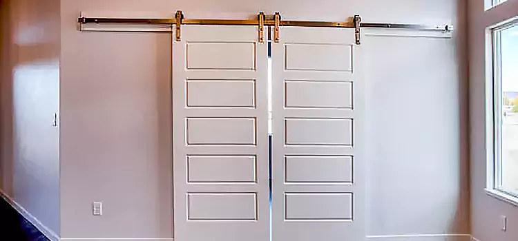 Glass Barn Door with Installation Hardware Kit DeLand
