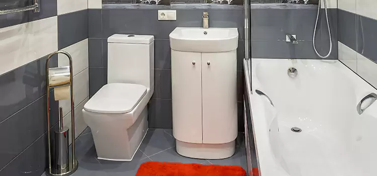Hansgrohe Shaving Mirror DeLand