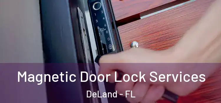 Magnetic Door Lock Services DeLand - FL